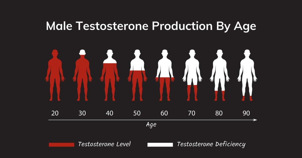Testosterone Levels In Men by Age EVOLVE