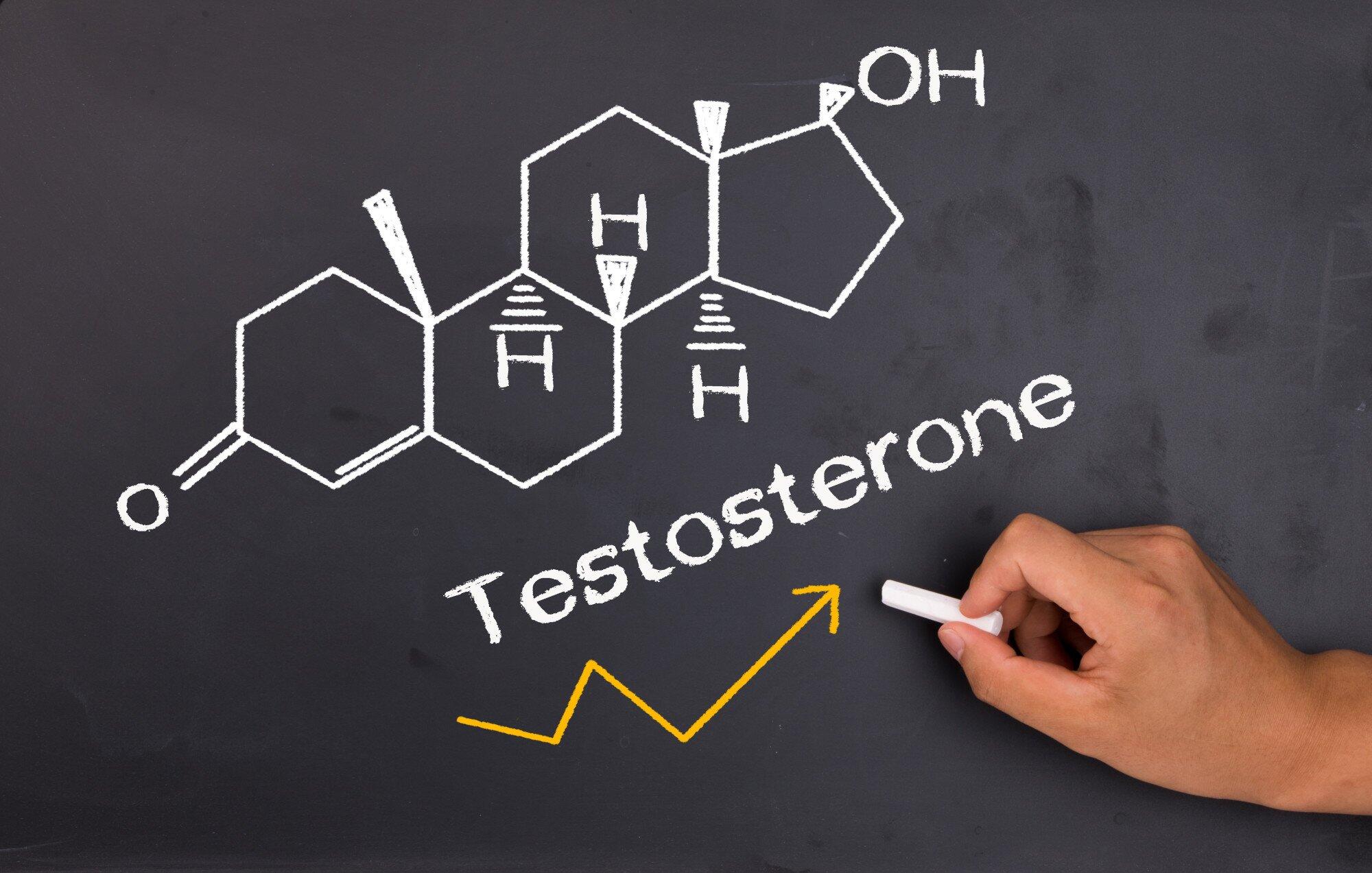 how long does testosterone take to work